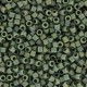 Miyuki delica Beads 11/0 - Matted opaque avocado ab DB-1594